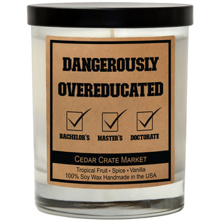 Dangerously Overeducated Soy Candle