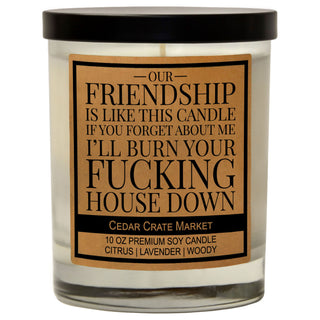 Our Friendship is Like This Candle Forget Me And I'll Burn Your Fucking House Down Soy Wax Candle