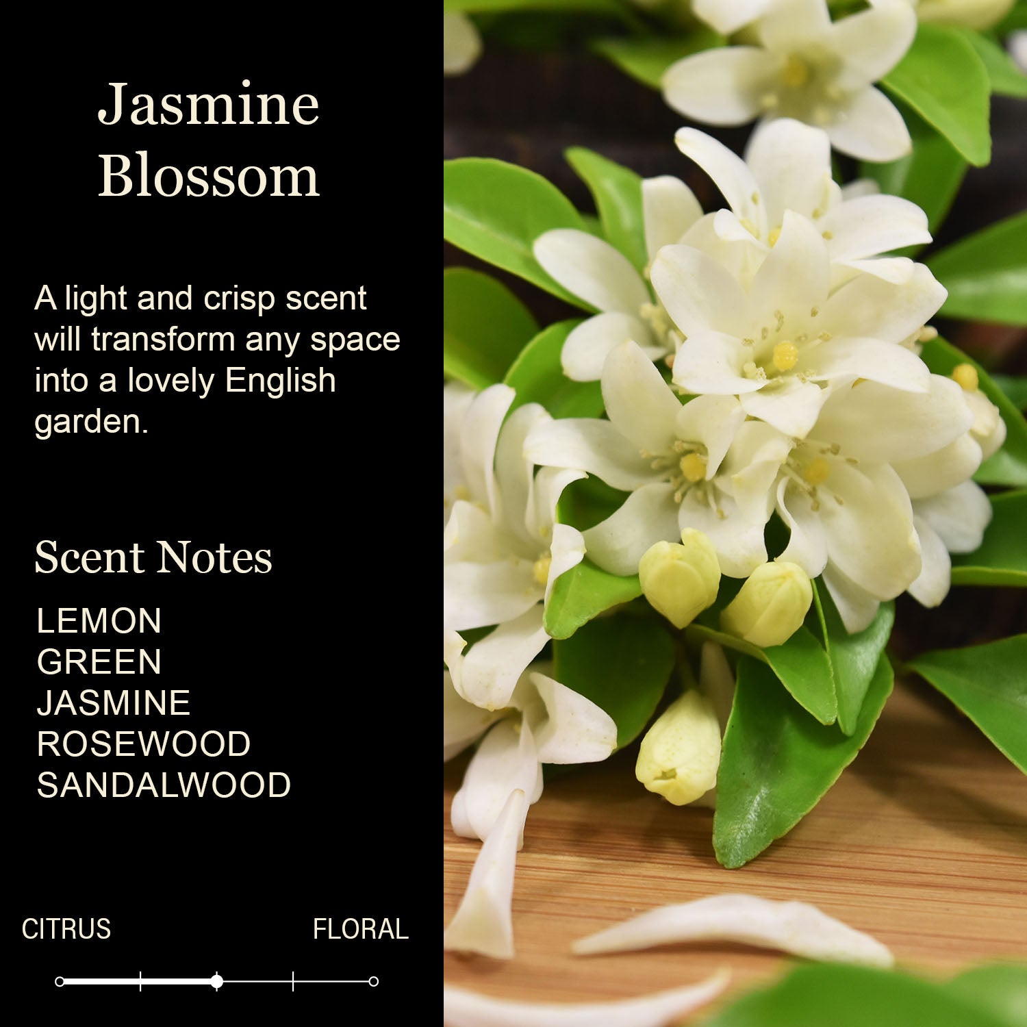 12 Custom Signature Candles