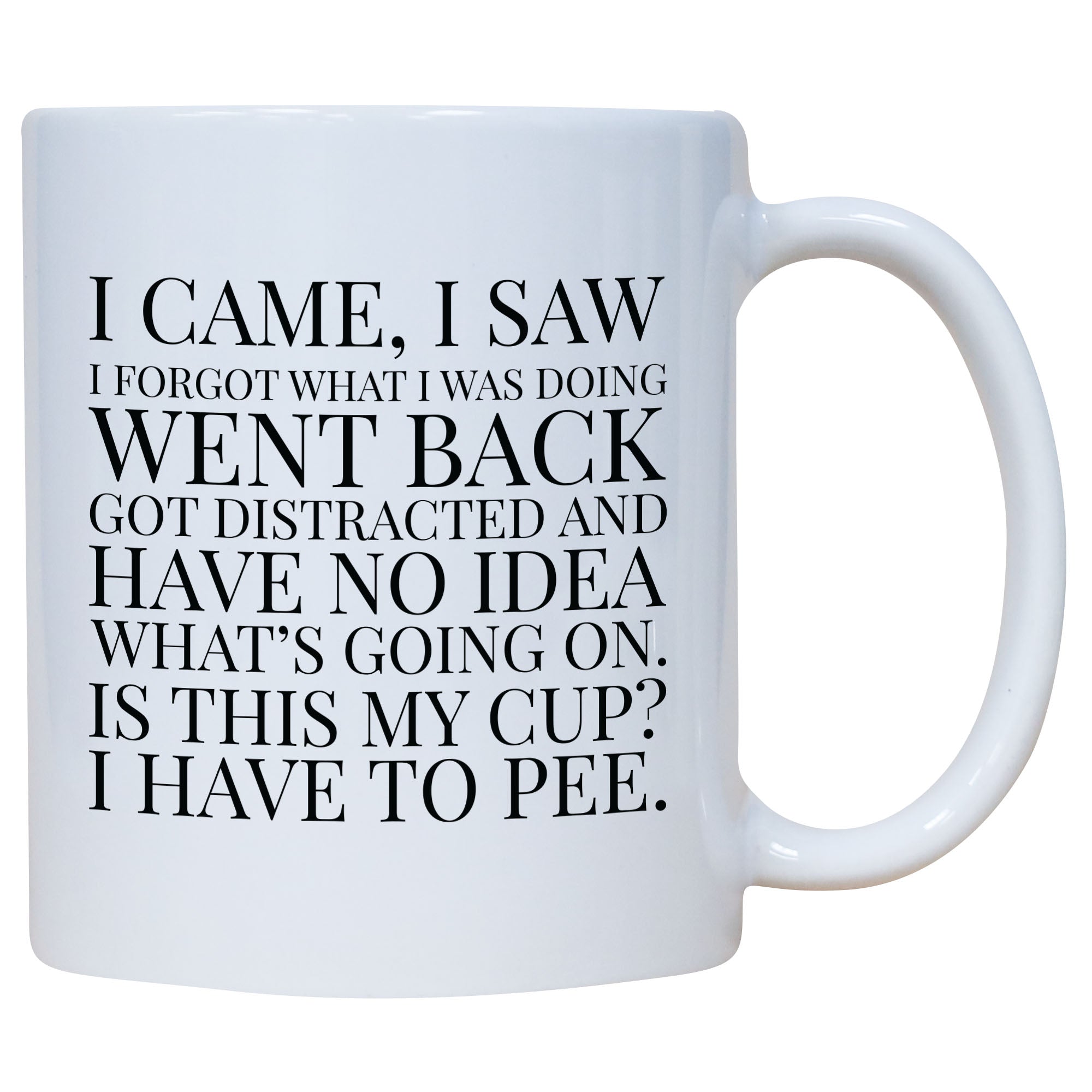 I Came I Saw I Forgot What I Was Doing Mug