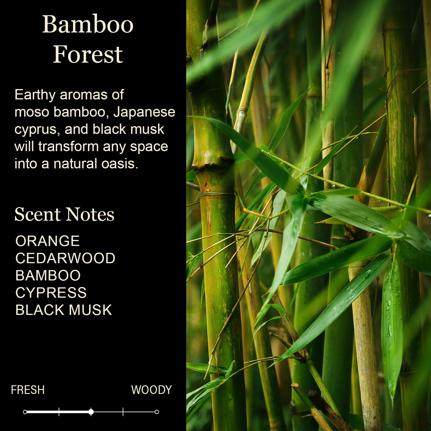 Happy New Home Hope Your Neighbors Aren't Weirdos White Candles