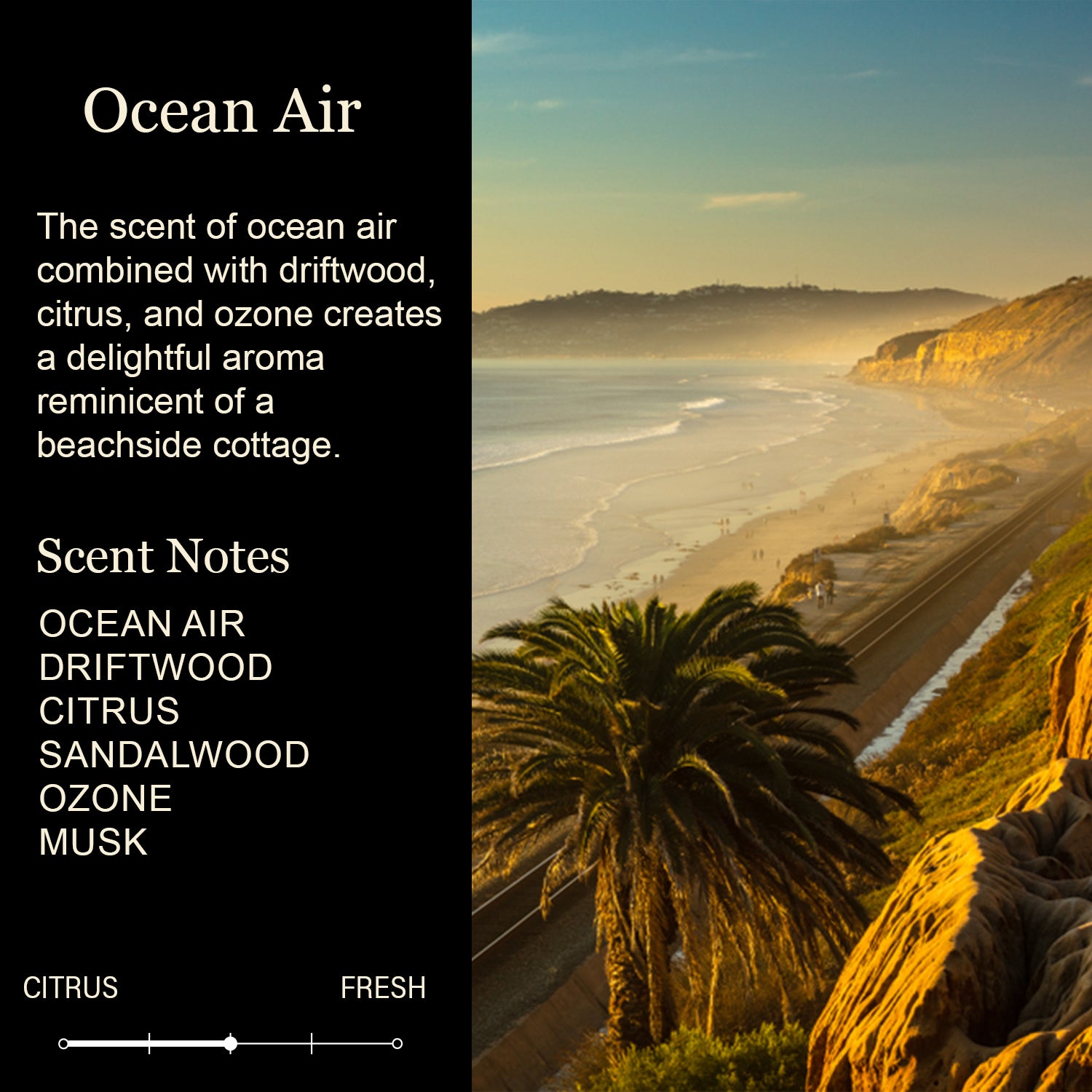 12 Custom Signature Candles