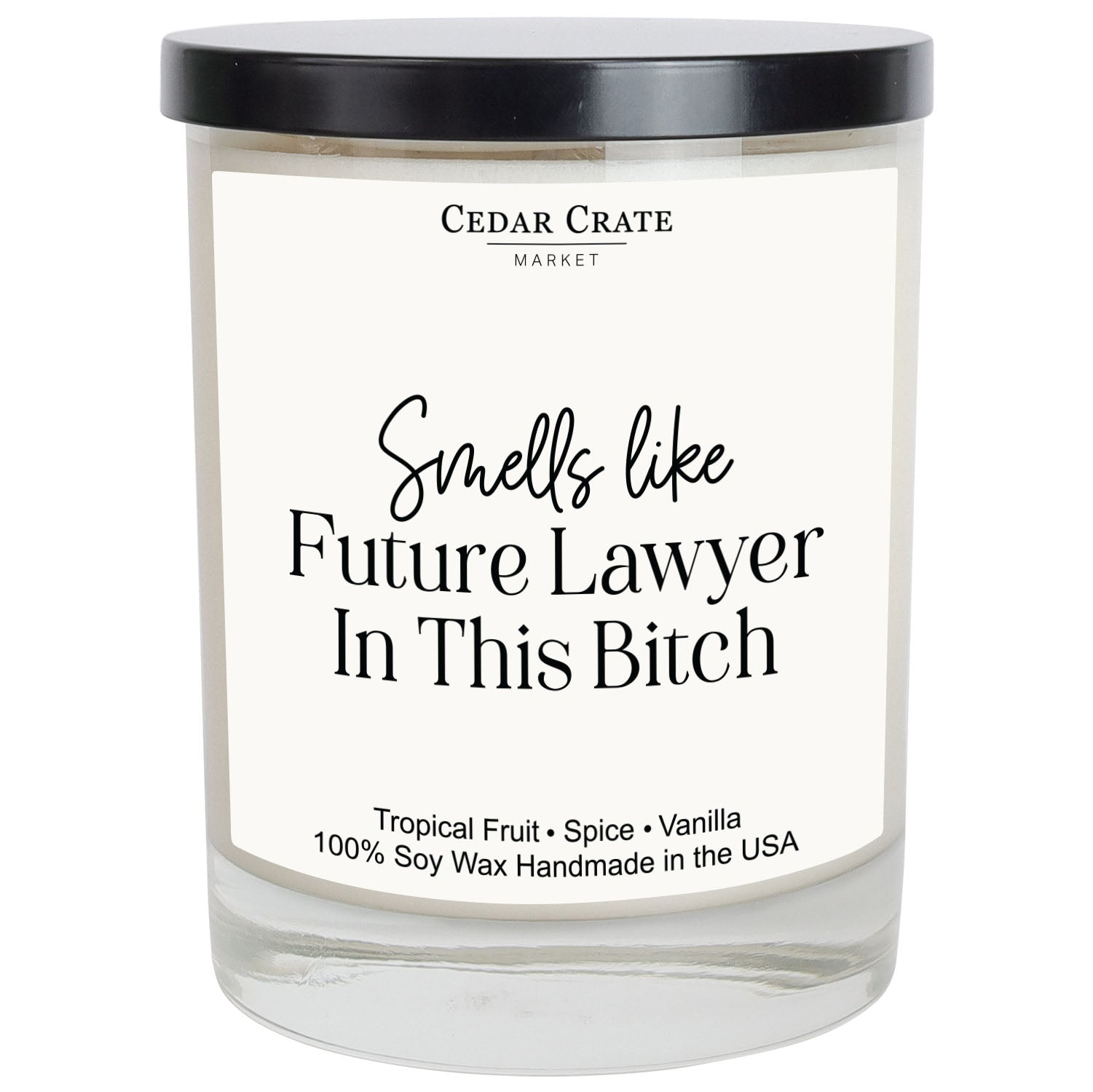 Smells Like Future Lawyer In This Bitch White Candle