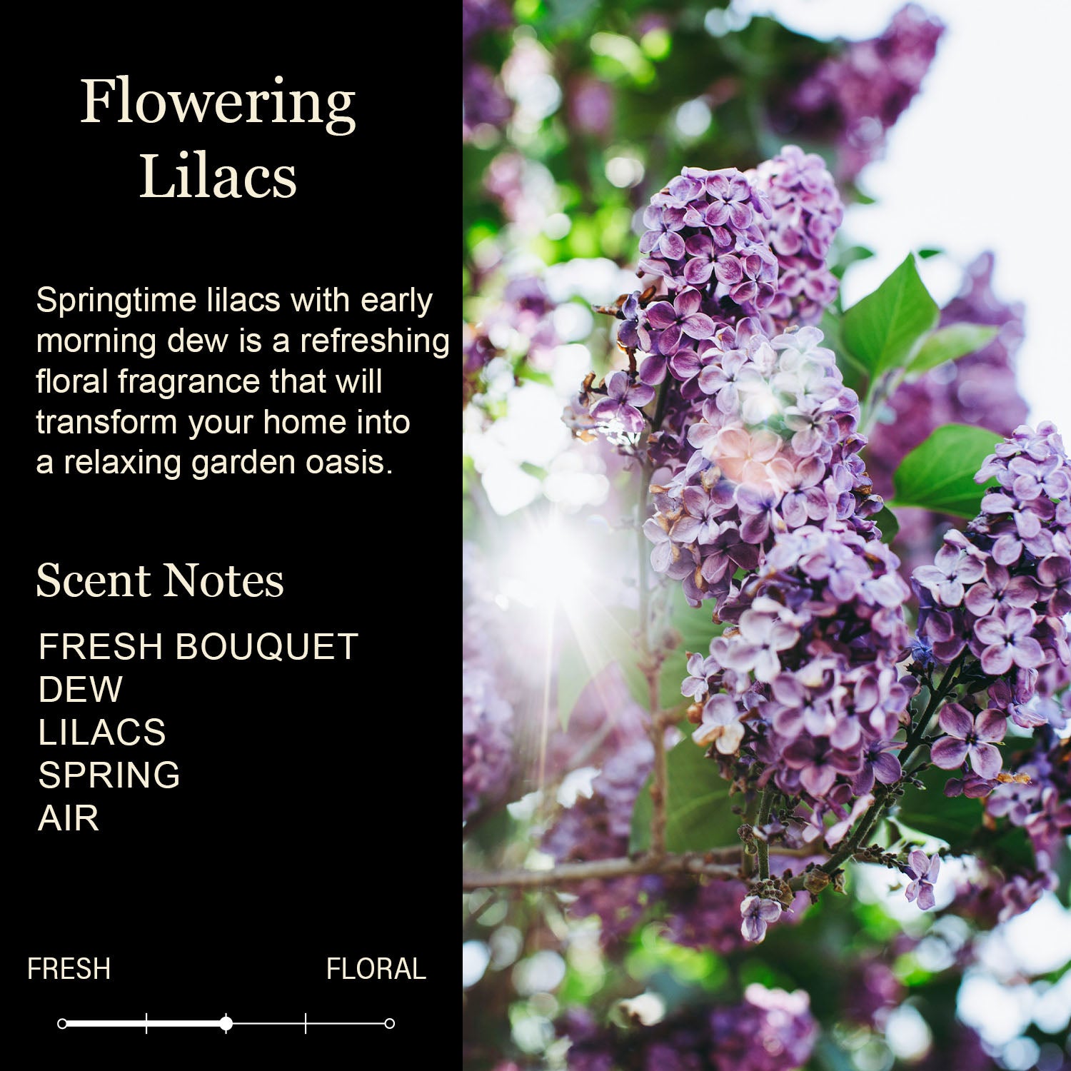 12 Custom Signature Candles