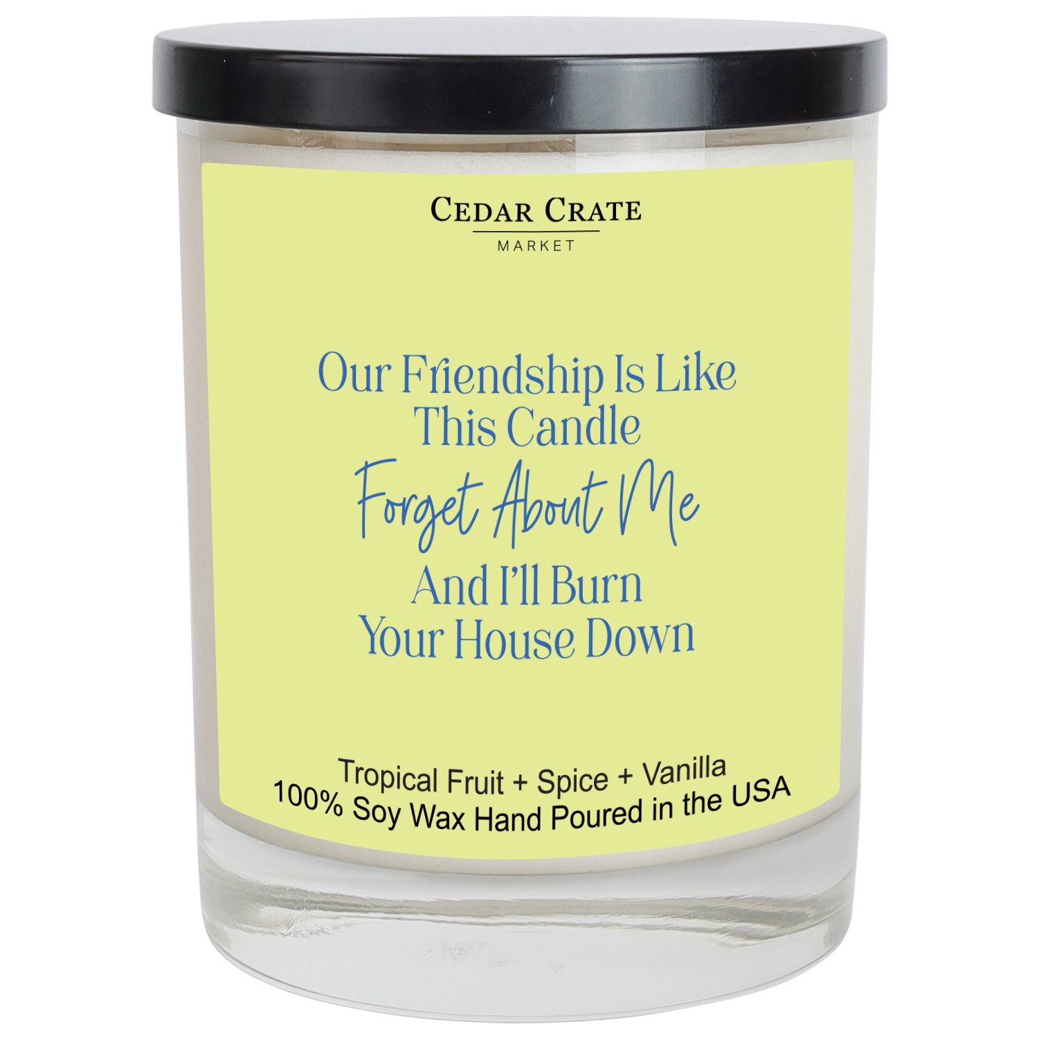 Our Friendship Is Like This Candle, Forget Me and I'll Burn Your House Down Color Candle