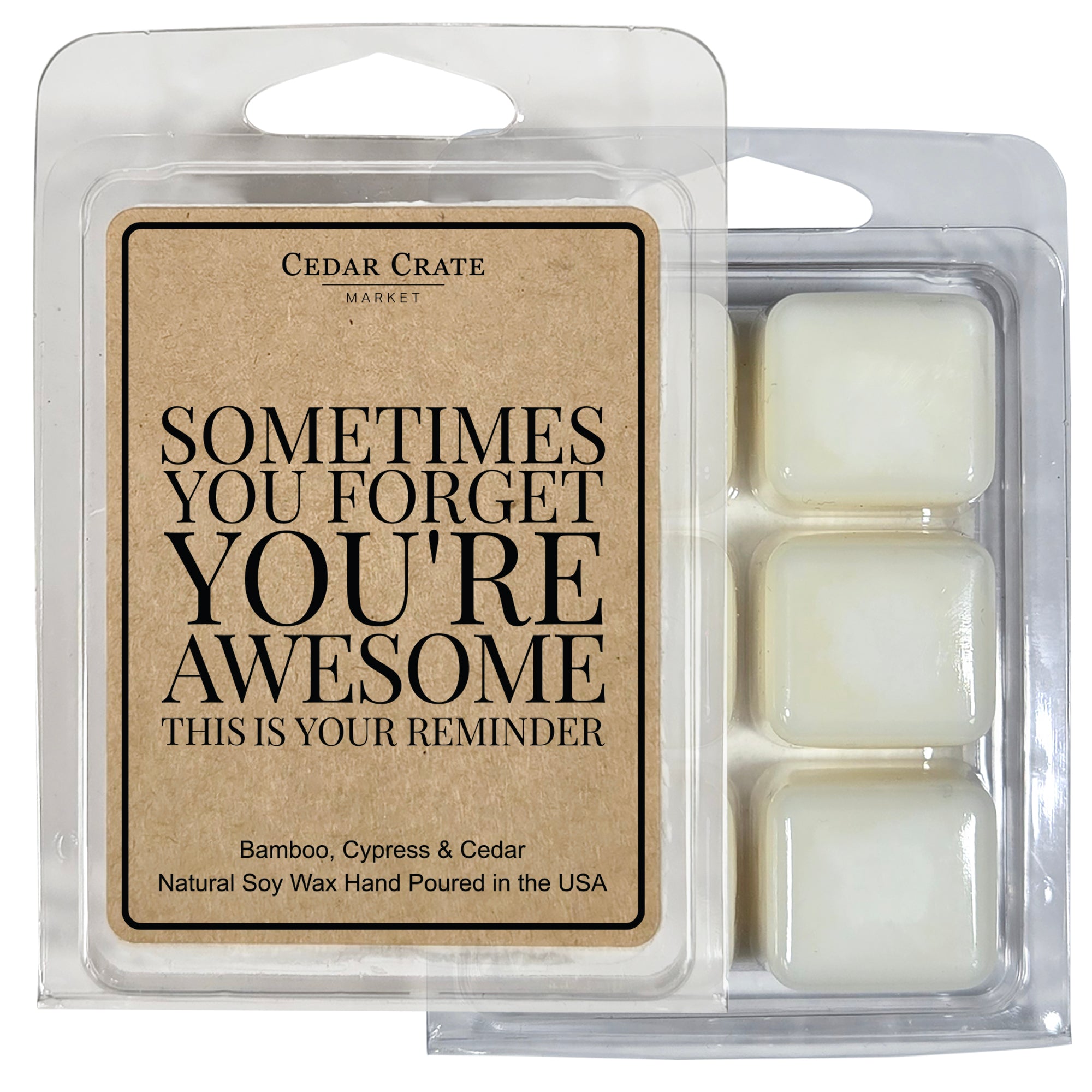 Sometimes You Forget You're Awesome, So This is Your Reminder Wax Melt