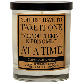 You Just Have To Take It One "Are You Fucking Kidding Me?" At A Time Soy Candle