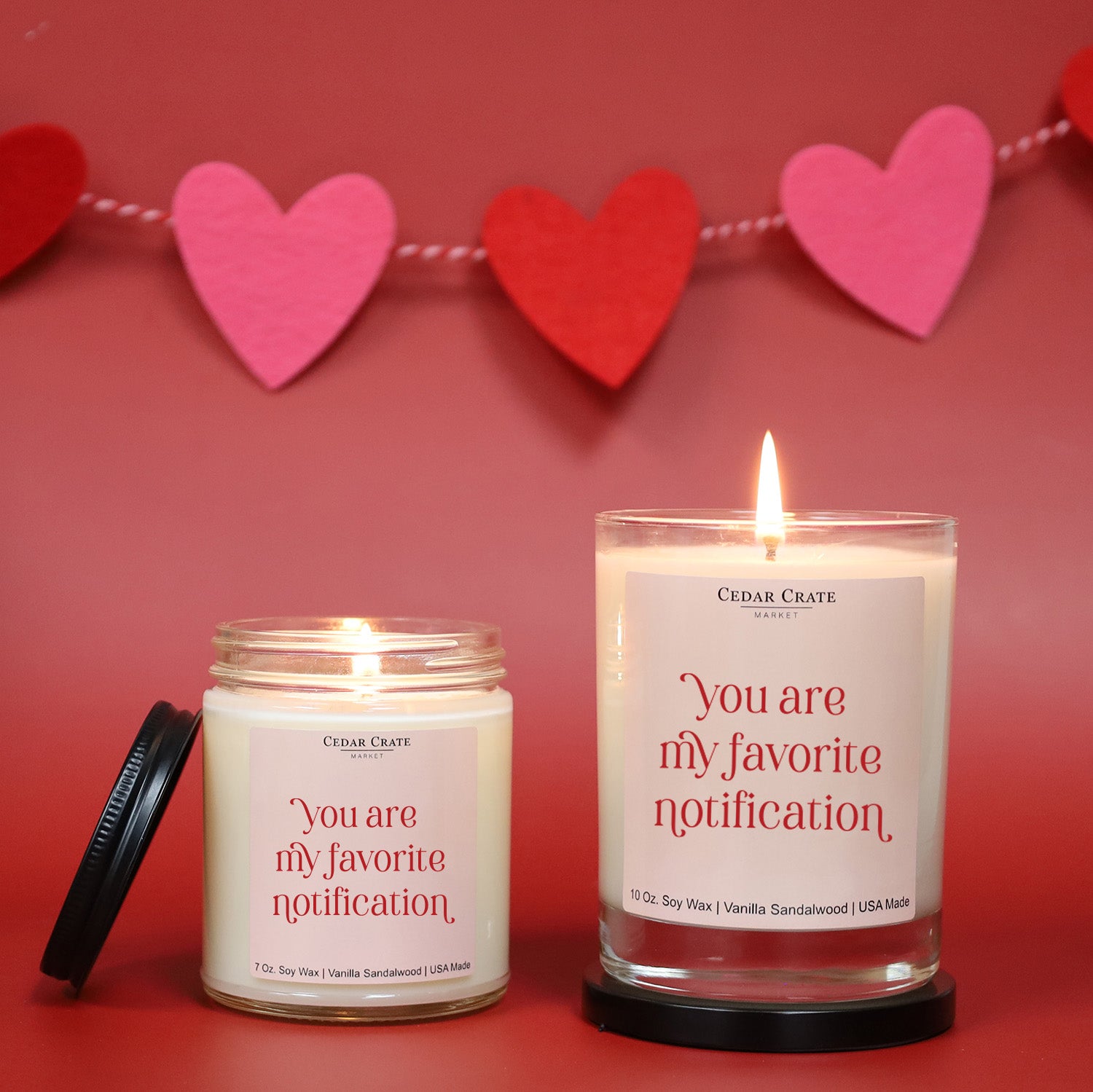 You Are My Favorite Notification Soy Candle
