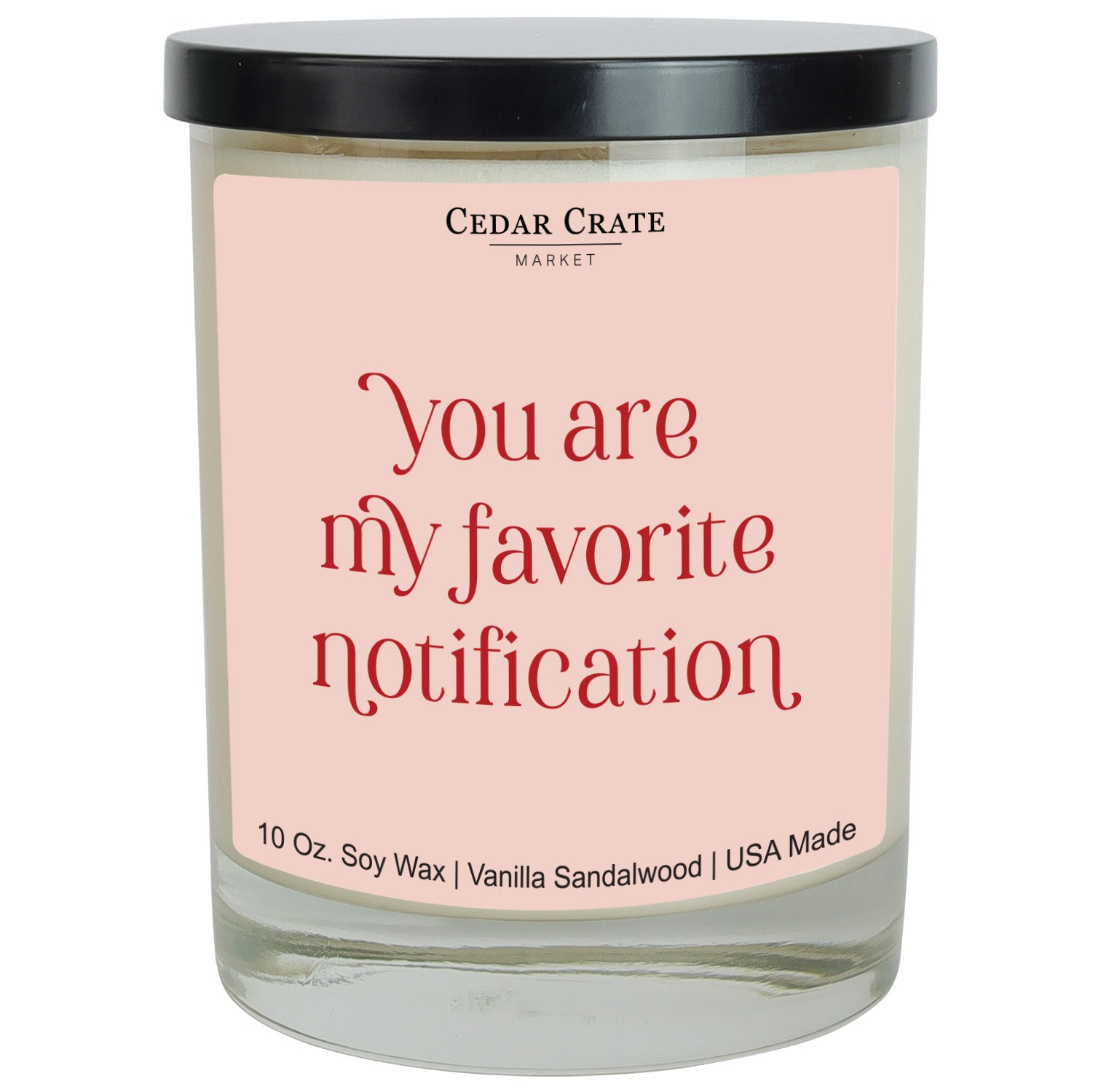 You Are My Favorite Notification Soy Candle
