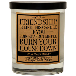 Our Friendship is Like This Candle, if You Forget Me I'll Burn Your House Down Soy Candle