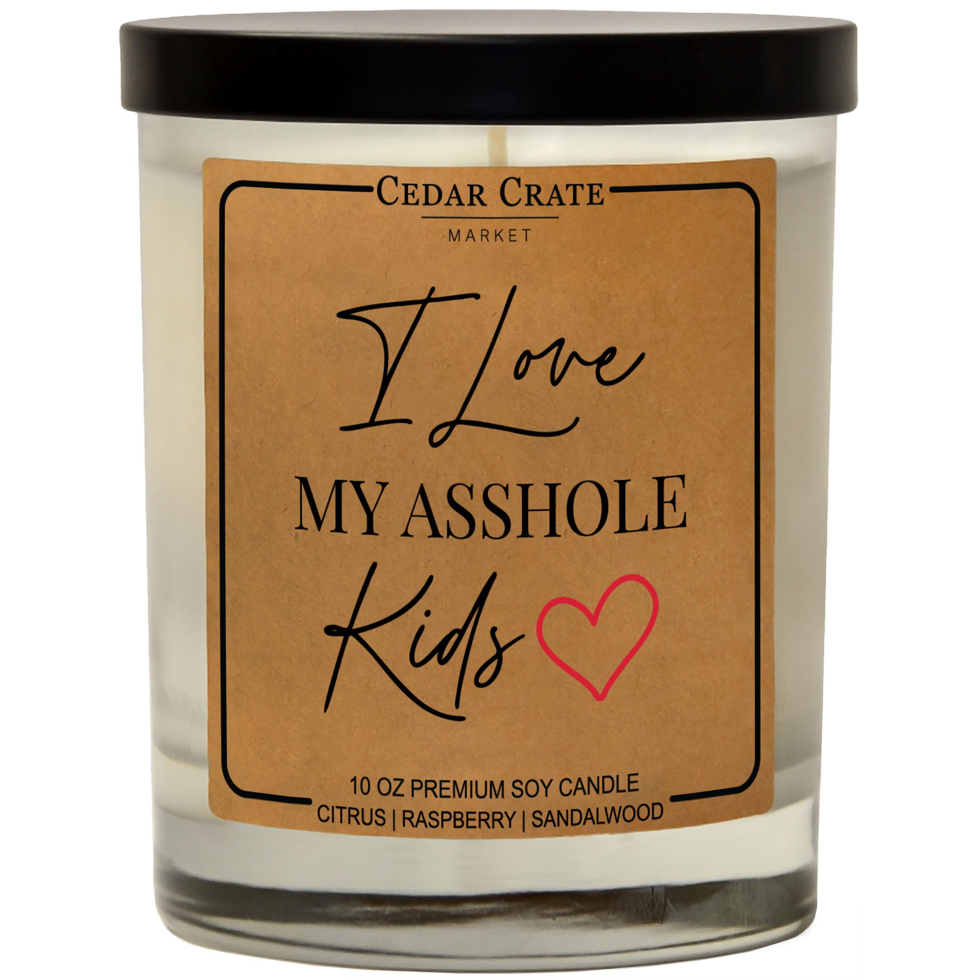 I Love My Asshole Kids Soy Candle