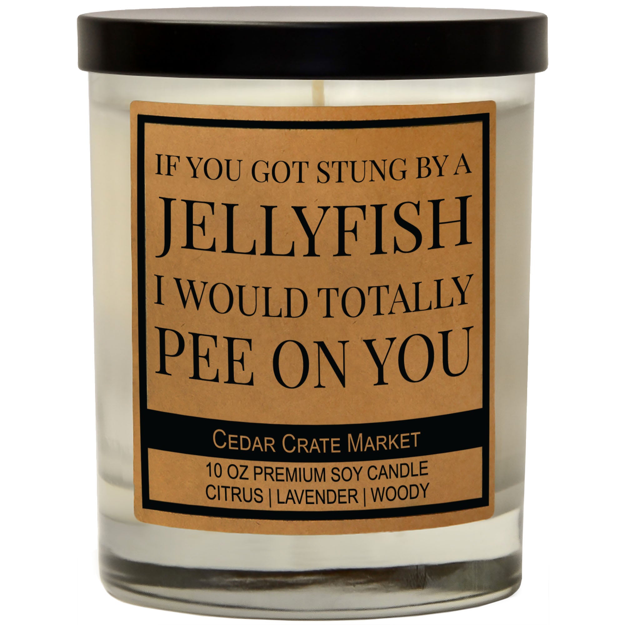 If You Got Stung By A Jellyfish I Would Totally Pee On You Soy Candle