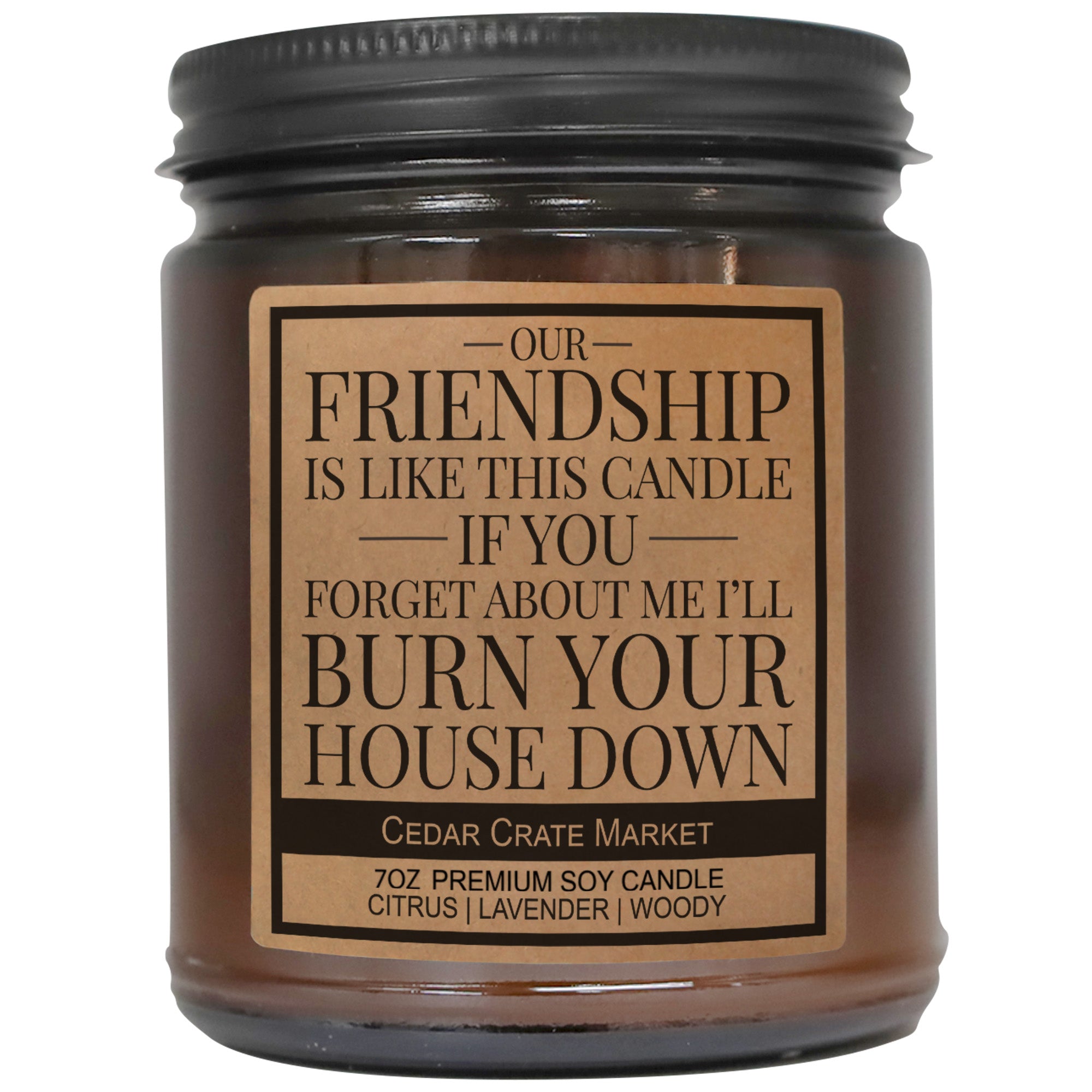 Our Friendship Is Like This Candle If You Forget About Me I'll Burn Your House Down Amber Jar