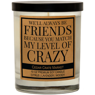 We'll Always Be Friends Because You Match My Level Of Crazy Soy Candle