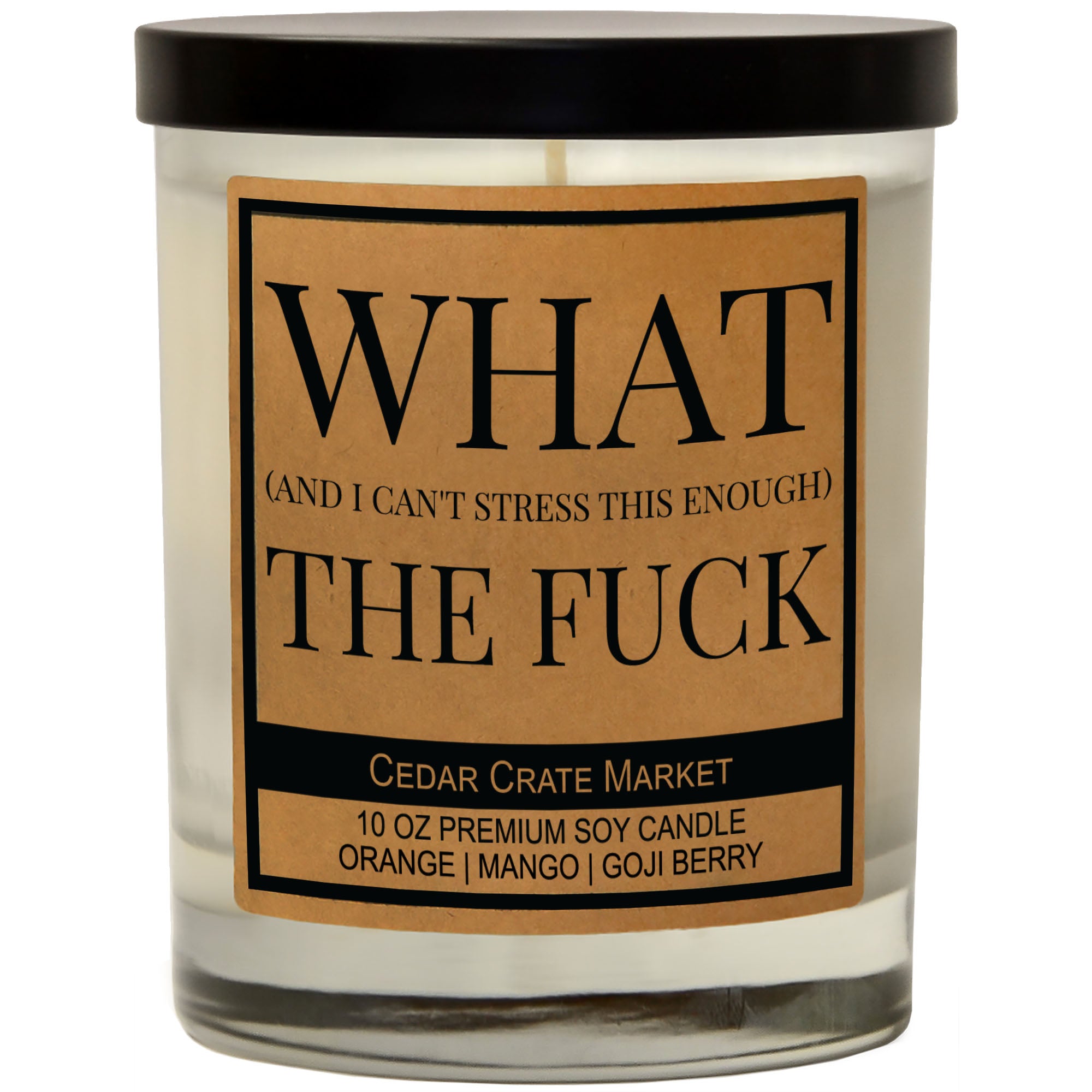 What (And I Can't Stress This Enough) The Fuck Soy Candle