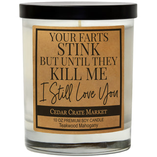 You're Farts Stink But Until They kill Me I Still Love You Soy Candle