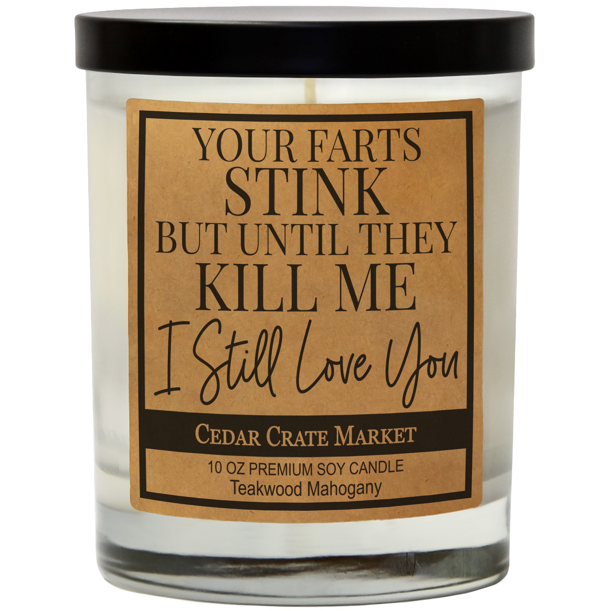 You're Farts Stink But Until They kill Me I Still Love You Soy Candle
