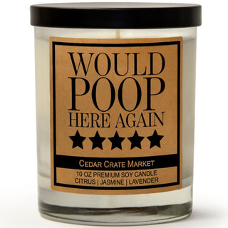 Would Poop Here Again ***** Soy Candle